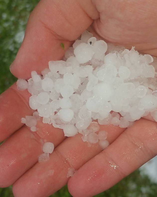 Handful of large hailstones