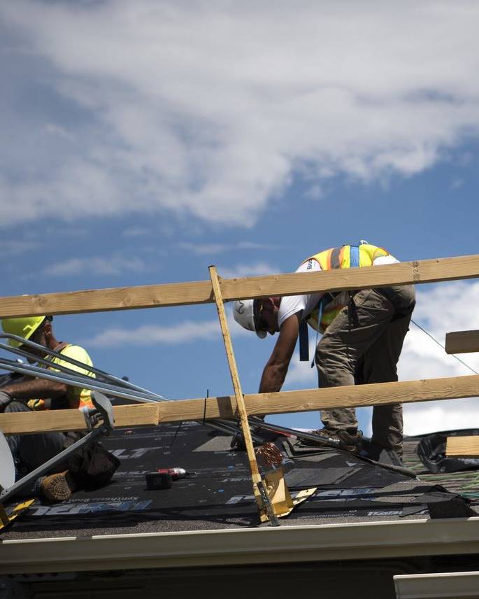 Roofers laying new shingles on a house