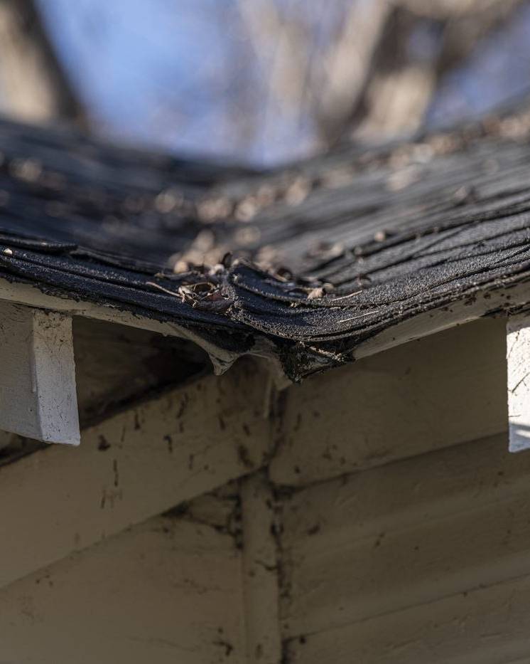 Rotted roof edge with worn, curling shingles